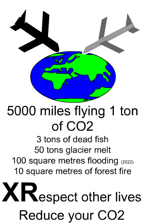 500 miles flying one ton of co2