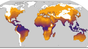 heat and risk to human health